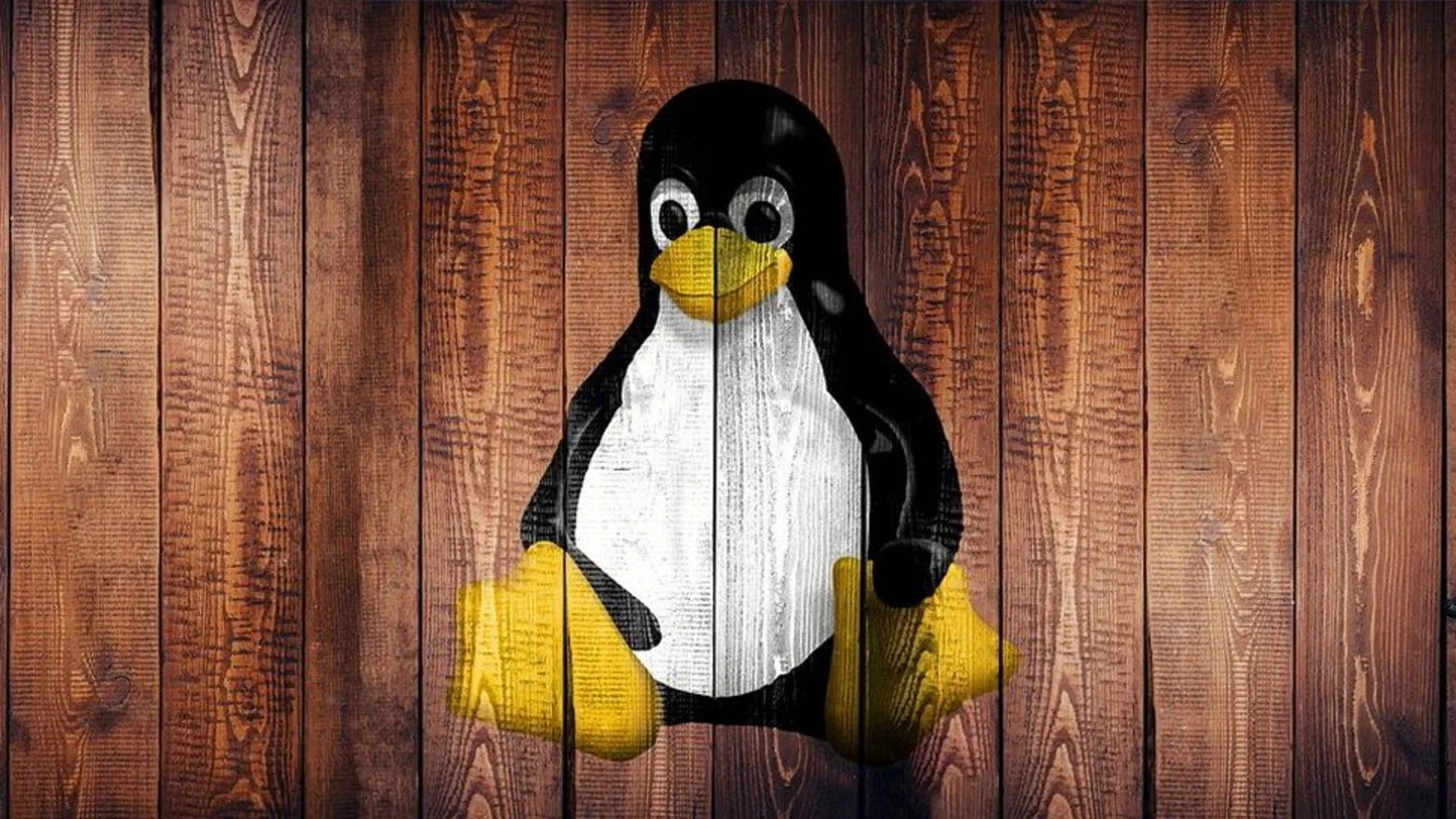 Linux 内核项目的公开图像